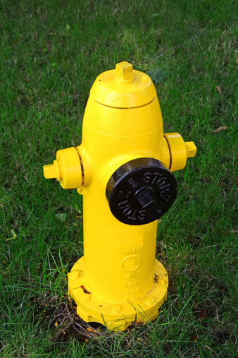 Canadian fire hydrant